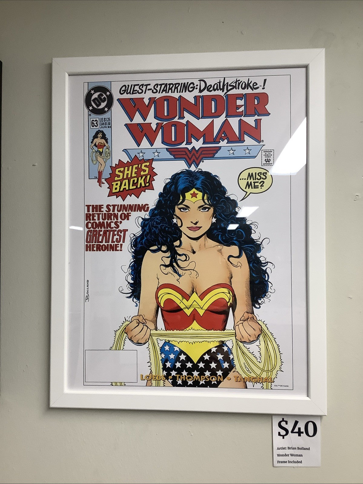 Wonder Woman #63 by Brian Bolland FRAMED 12x16 Art Print DC Comics Poster