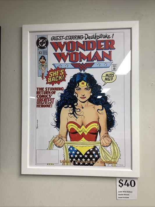 Wonder Woman #63 by Brian Bolland FRAMED 12x16 Art Print DC Comics Poster