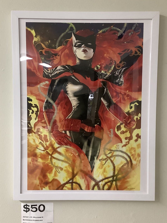 Batwoman Hydrology J. H. Williams III Wall Art Print, 12x16, Frame Included