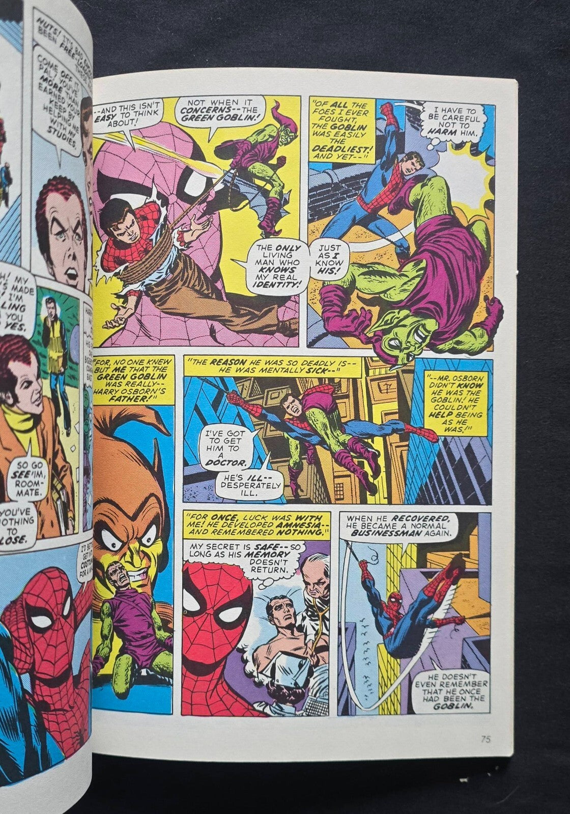 The Amazing Spider-Man By Stan Lee (1st Ed Fireside PB 1979)