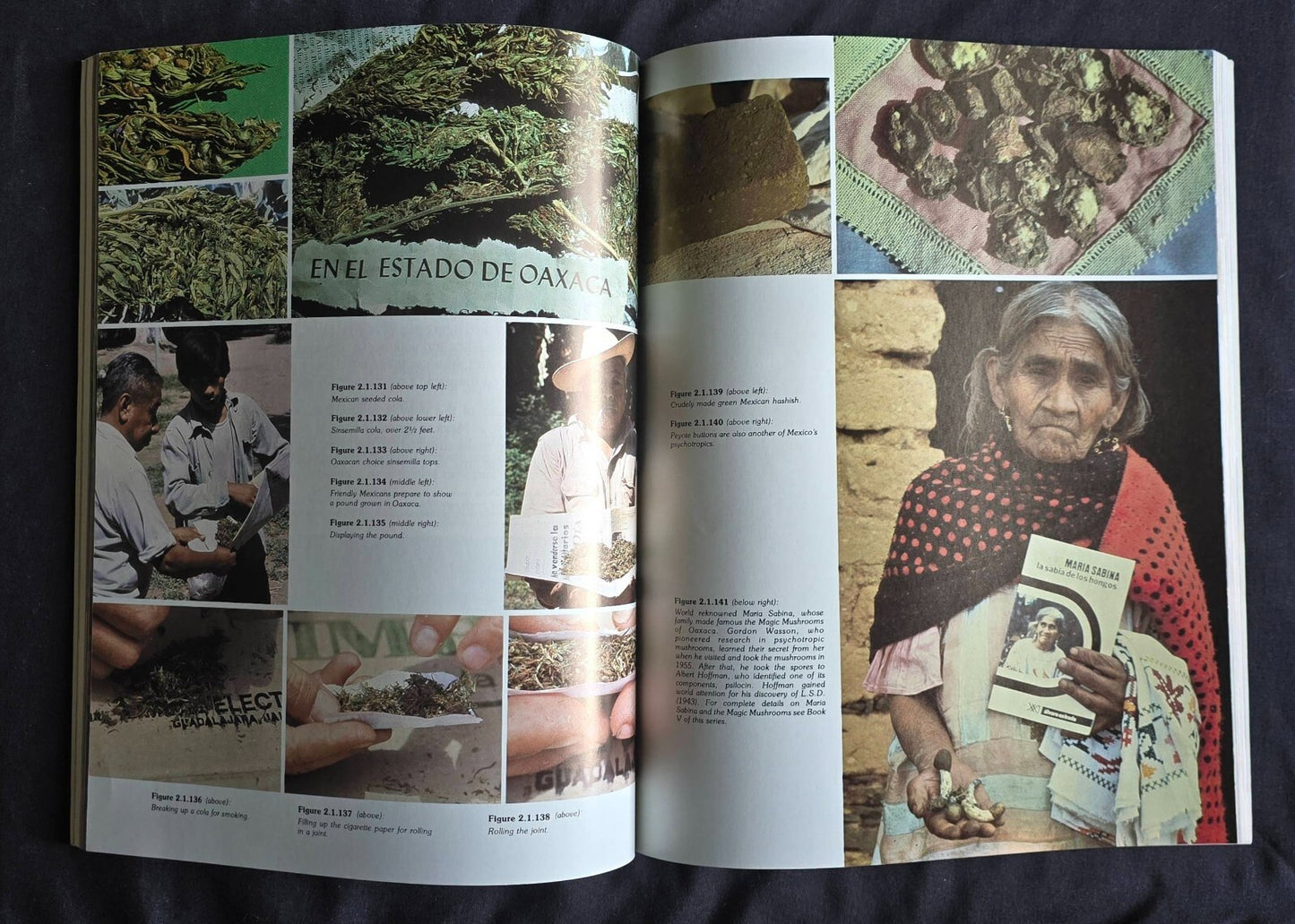 The Great Books of Cannabis Volume 1: Book 2 by Laurence Cherniak (1983 PC) JD