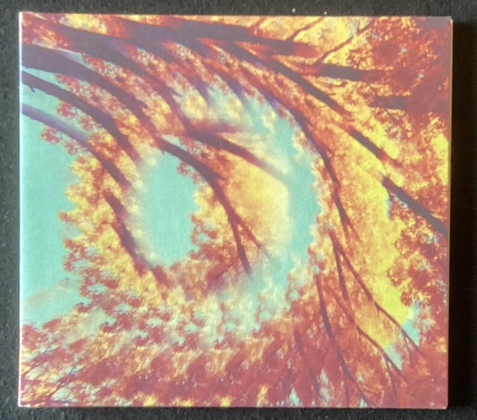 A Hawk and a Hacksaw - Forest Bathing (CD, Like New) -JD