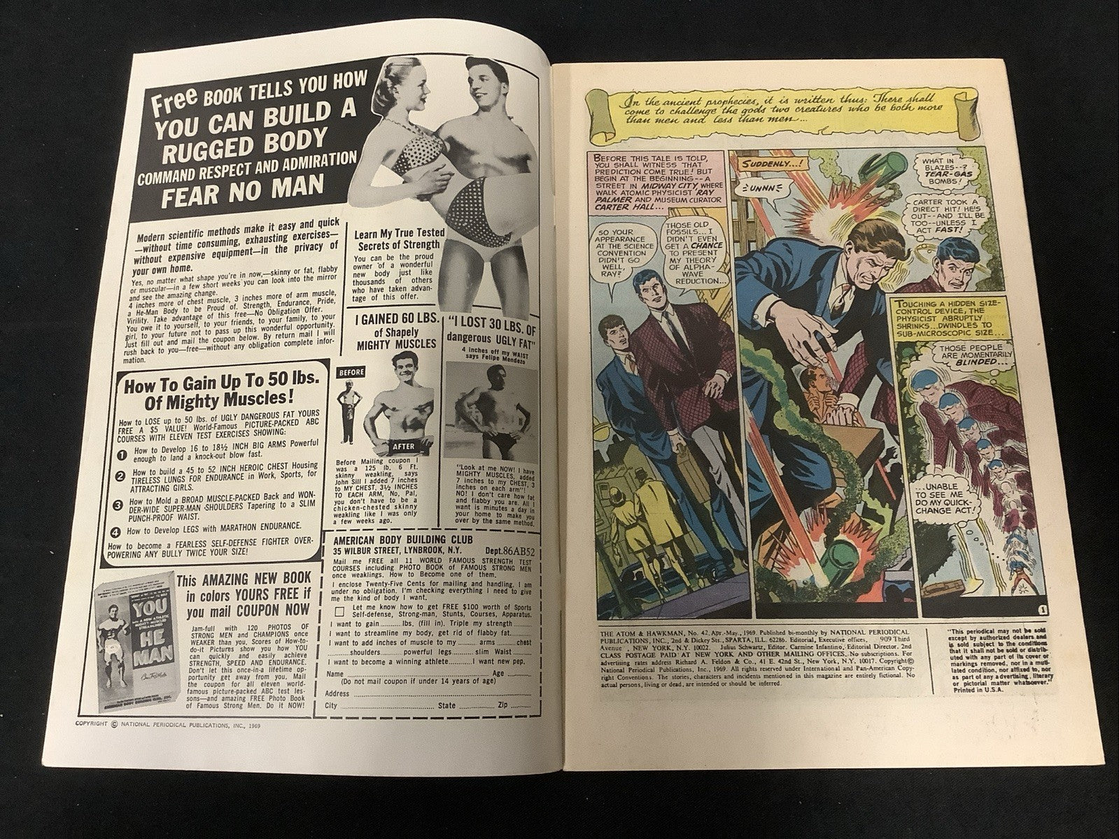 The Atom & Hawkman #42 (DC Comics April-May 1969) VF (8.0) Denny O’Neil