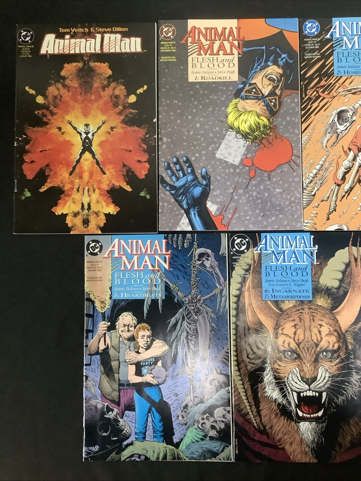 Animal Man #50-58 Comic Lot, DC Comics, Flesh And Blood, Brian Bolland, 1992