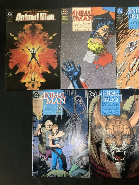 Animal Man #50-58 Comic Lot, DC Comics, Flesh And Blood, Brian Bolland, 1992