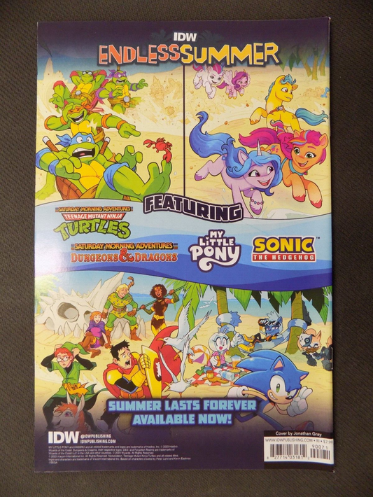 Sonic The Hedgehog 900th Adventure One Shot Gray RI 1:50 Variant IDW