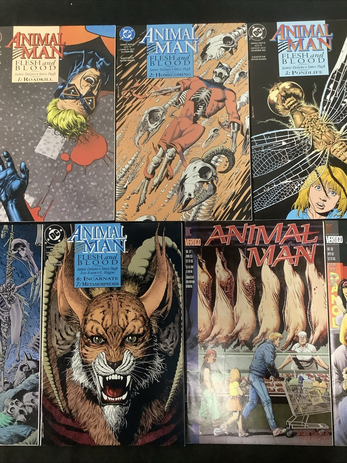 Animal Man #50-58 Comic Lot, DC Comics, Flesh And Blood, Brian Bolland, 1992