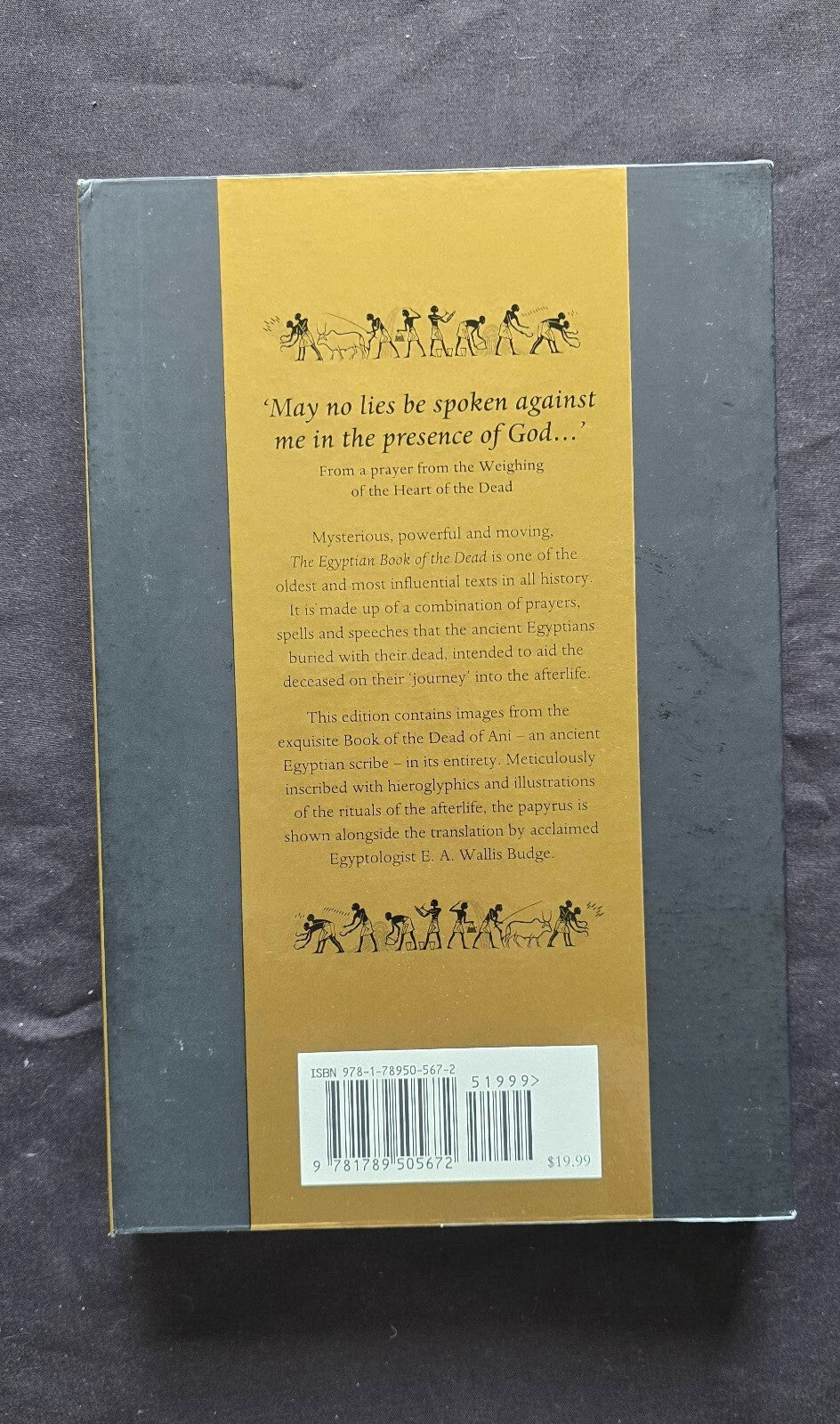 Egyptian Book of the Dead by E. A. Wallis Budge (2019, HC) JD