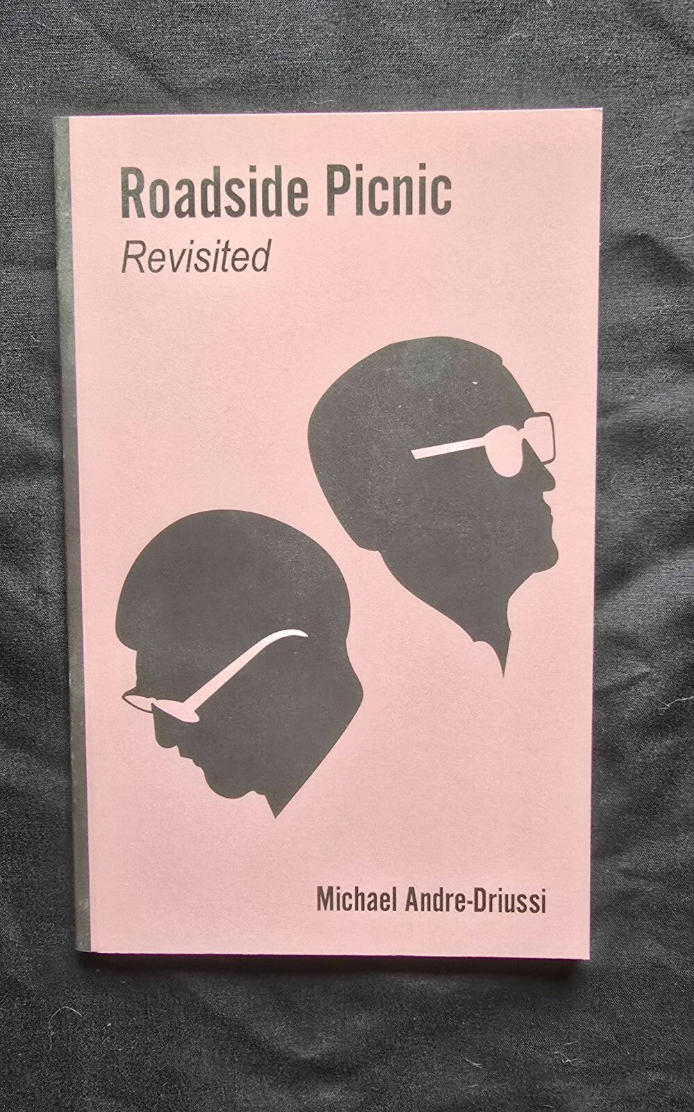Roadside Picnic Revisited by Michael Andre-Driussi (2016) JD