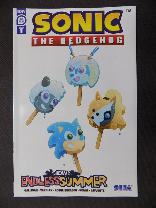 Sonic The Hedgehog Endless Summer One Shot Haines RI 1:25 Variant IDW