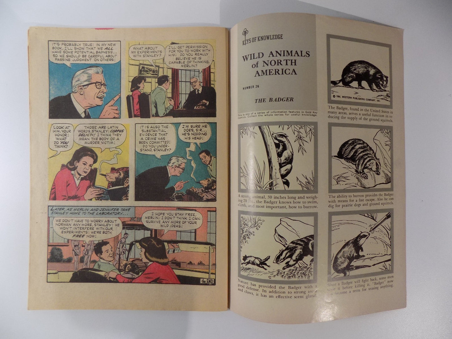 Walt Disney's The Misadventures of Merlin Jones Gold Key Comic 1964 F/VF