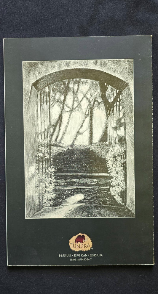 The Crow Volume Two Irony & Despair By J.O'Barr - Tundra publishing