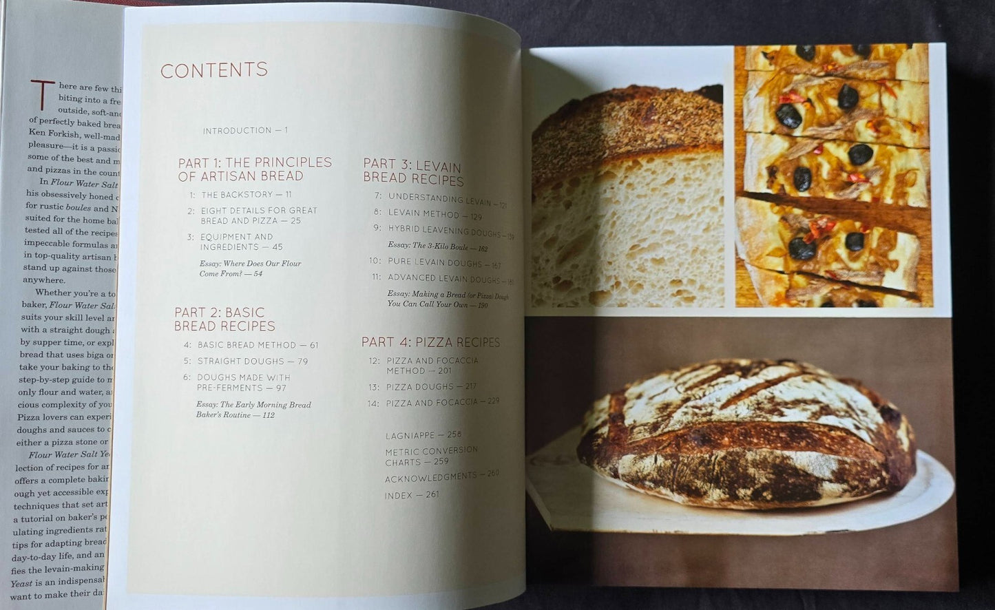 Flour Water Salt Yeast: The Fundamentals of Artisan Bread and Pizza - JD