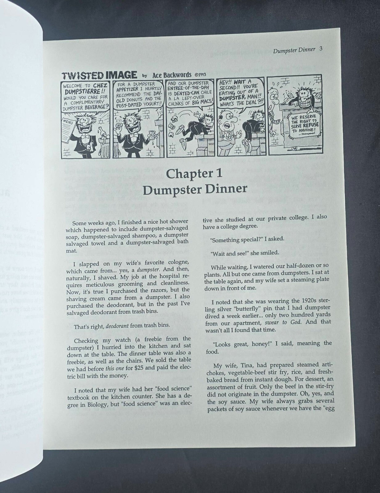 The Art and Science of Dumpster Diving by John Hoffman (1993, PC) JD