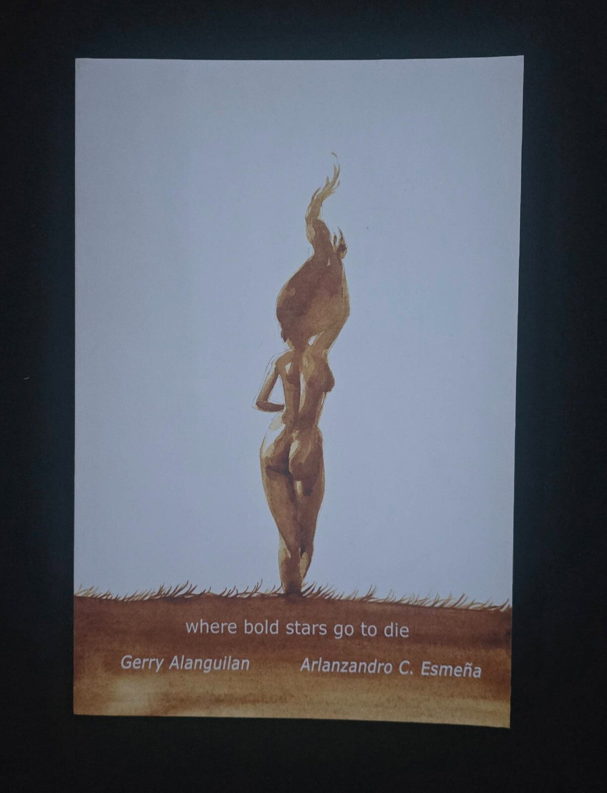 Where Bold Stars Go to Die (1st Print, SLG, Slave Labor Graphics 2013)