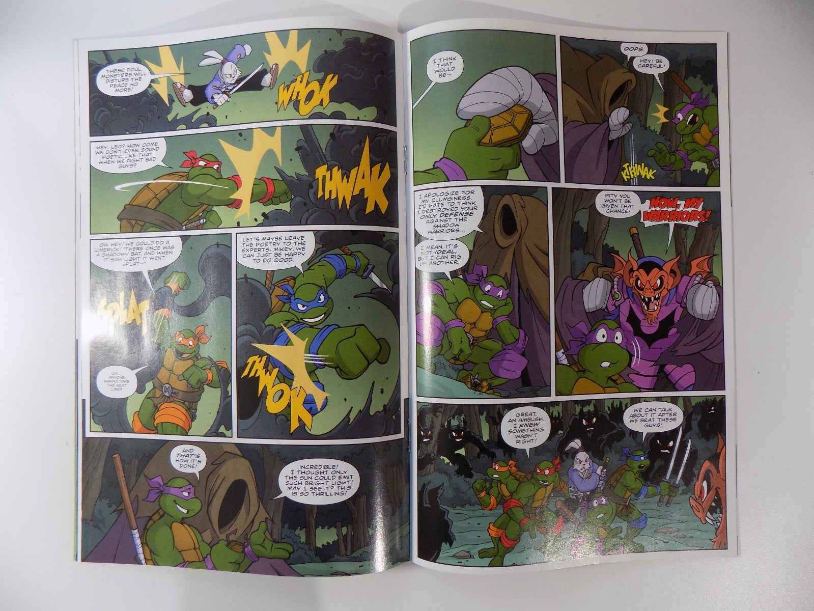 TMNT/Usagi Yojimbo Saturday Morning Adventures RI 1:50 Variant IDW Near Mint-