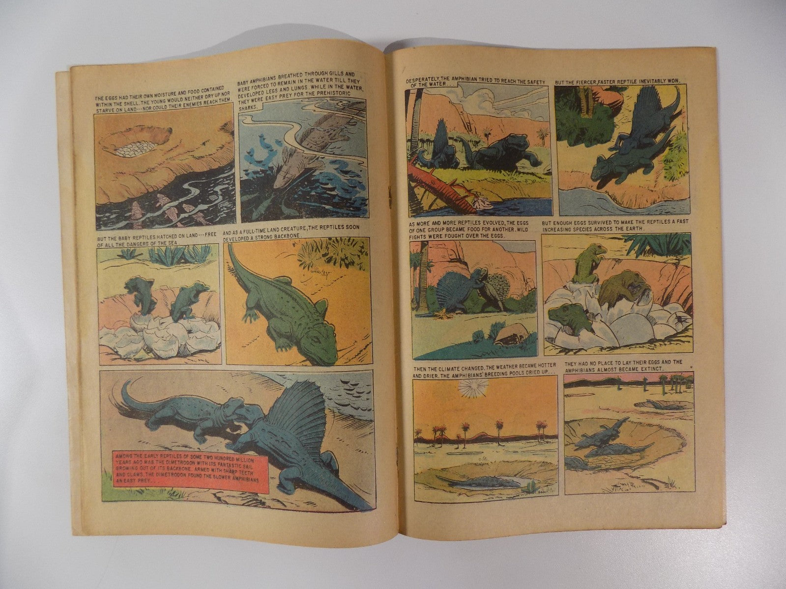 Turok Son of Stone #22 Dell Comic Dec.-Feb. 1961 Fine-