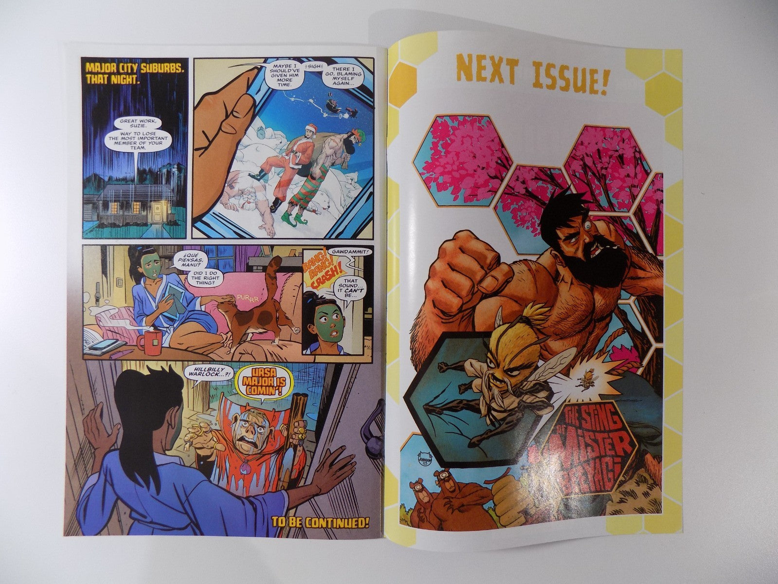 Shirtless Bear Fighter 2! #1 Image Comic 1:10 Variant Tough Book! Near Mint-