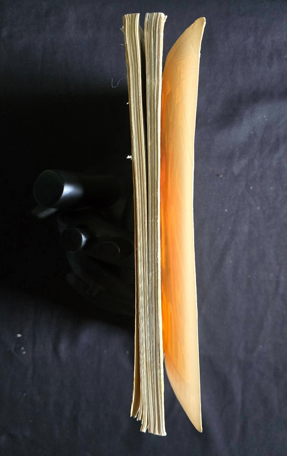 THE FANTASTIC FOUR by Stan Lee (1st Print, 1979) Fireside!