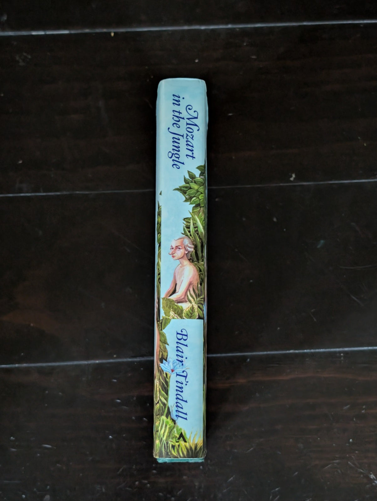 Mozart in the Jungle: Sex, Drugs, and Classical Music, Blair Tindall HC -JD