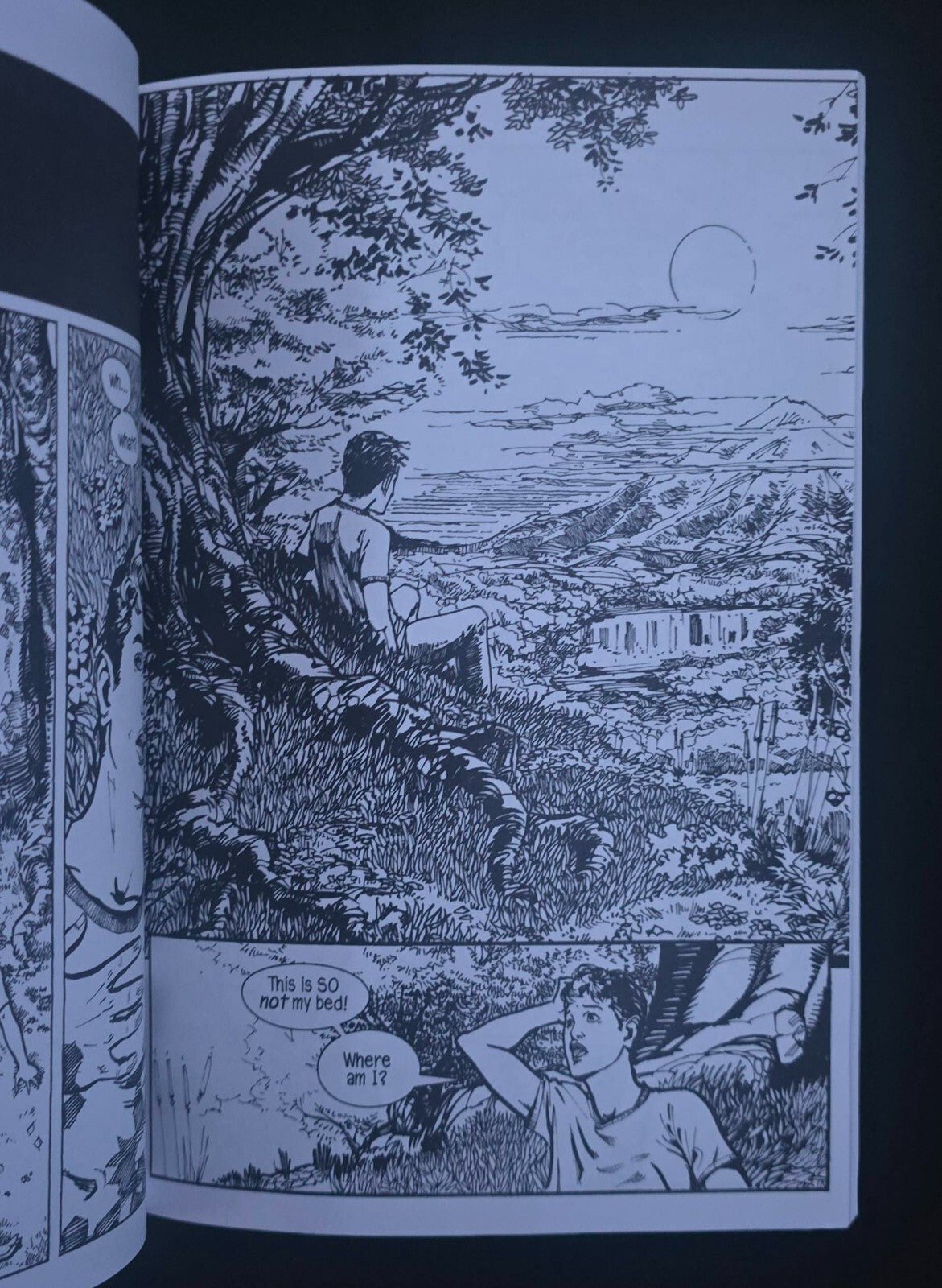 Where Bold Stars Go to Die (1st Print, SLG, Slave Labor Graphics 2013)