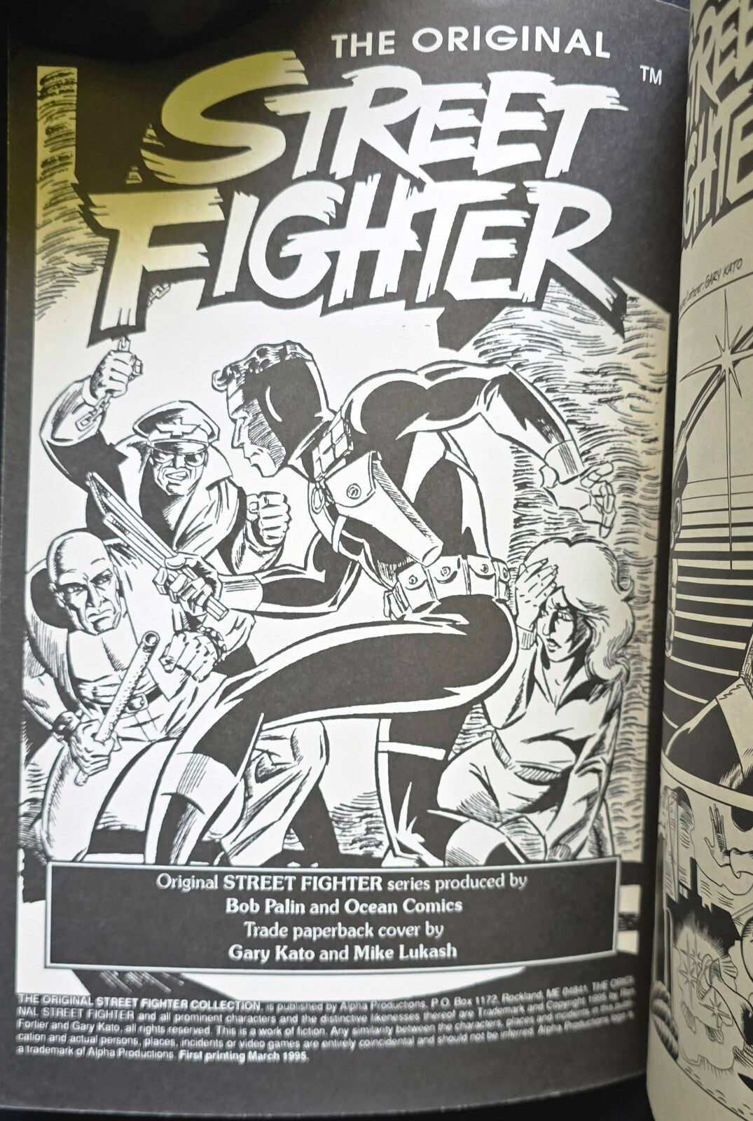 The Original Street Fighter By Ron Fortier and Gary Kato (ALPHA 1st Print, 1995)