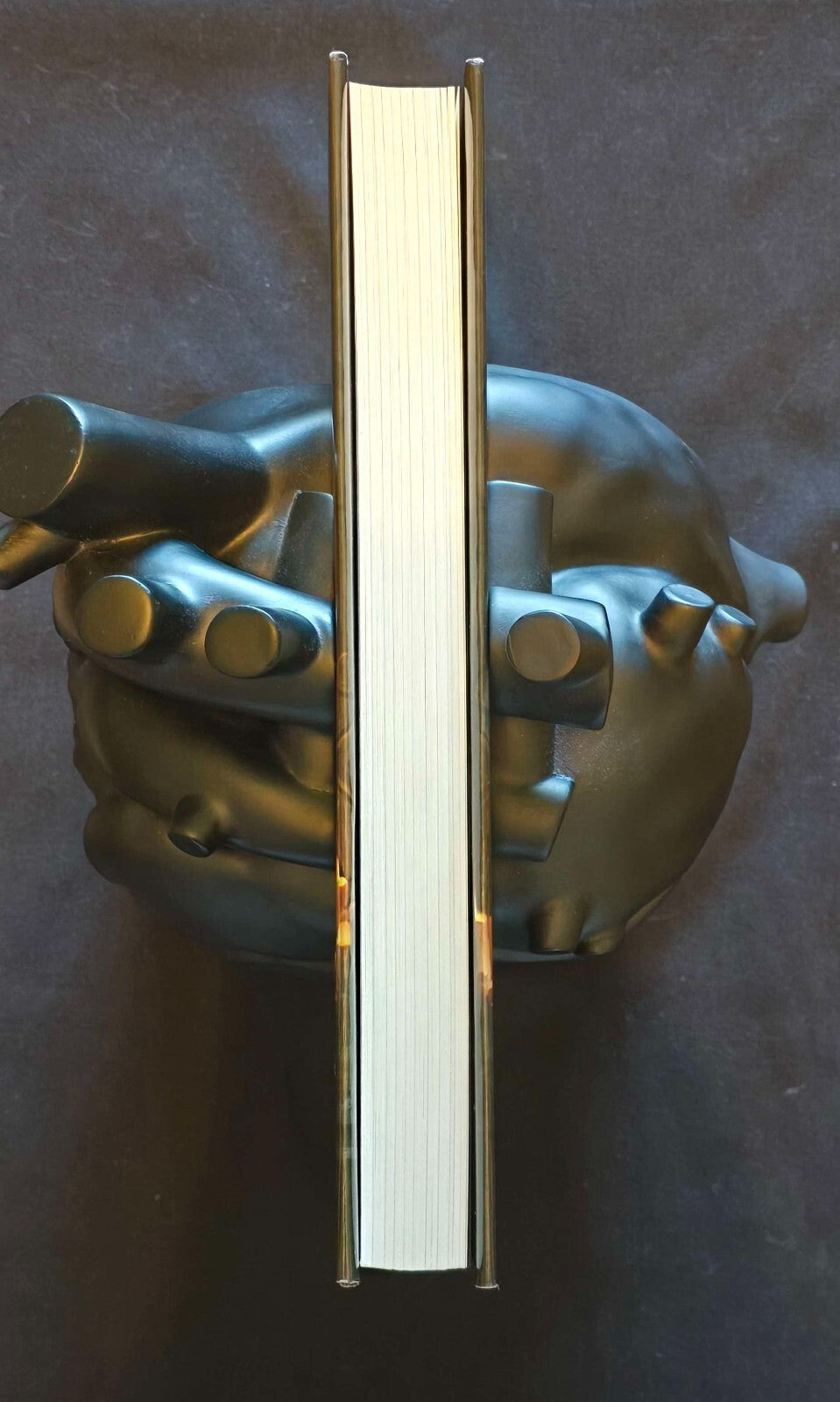 King-Killing Queen by Shawn Speakman (2023, Hardcover Signed) WC