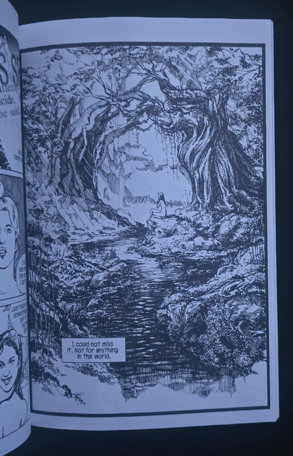 Where Bold Stars Go to Die (1st Print, SLG, Slave Labor Graphics 2013)