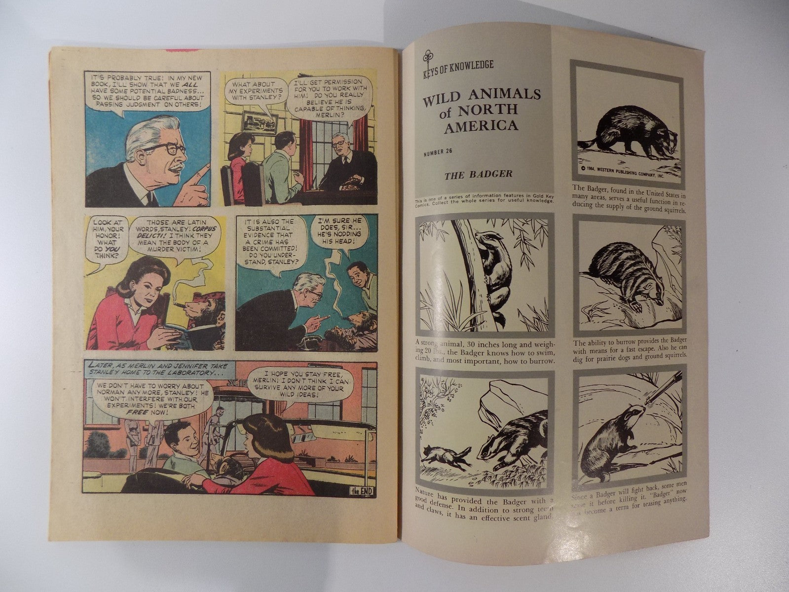 Walt Disney's The Misadventures of Merlin Jones Gold Key Comic 1964 F/VF