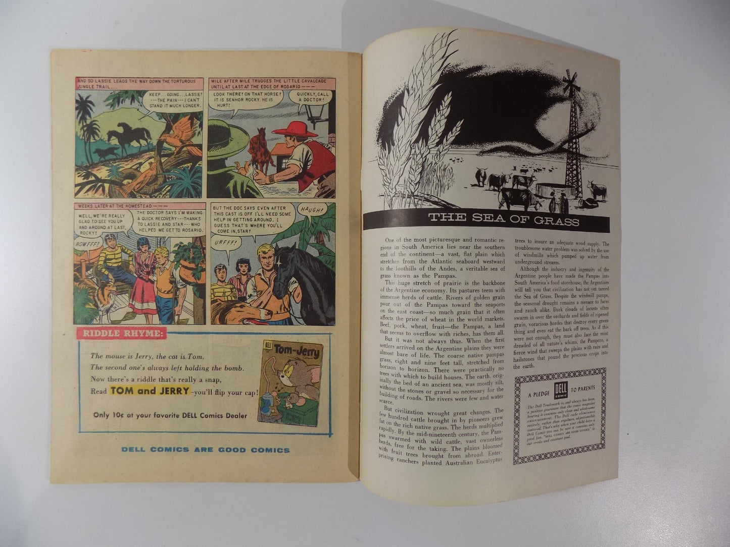Lassie #31 Dell Comic Nov.-Dec. 1956 Fine/Very Fine