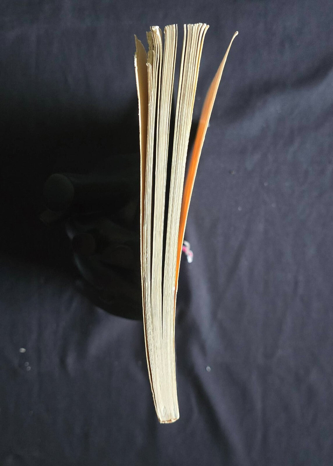 THE FANTASTIC FOUR by Stan Lee (1st Print, 1979) Fireside!