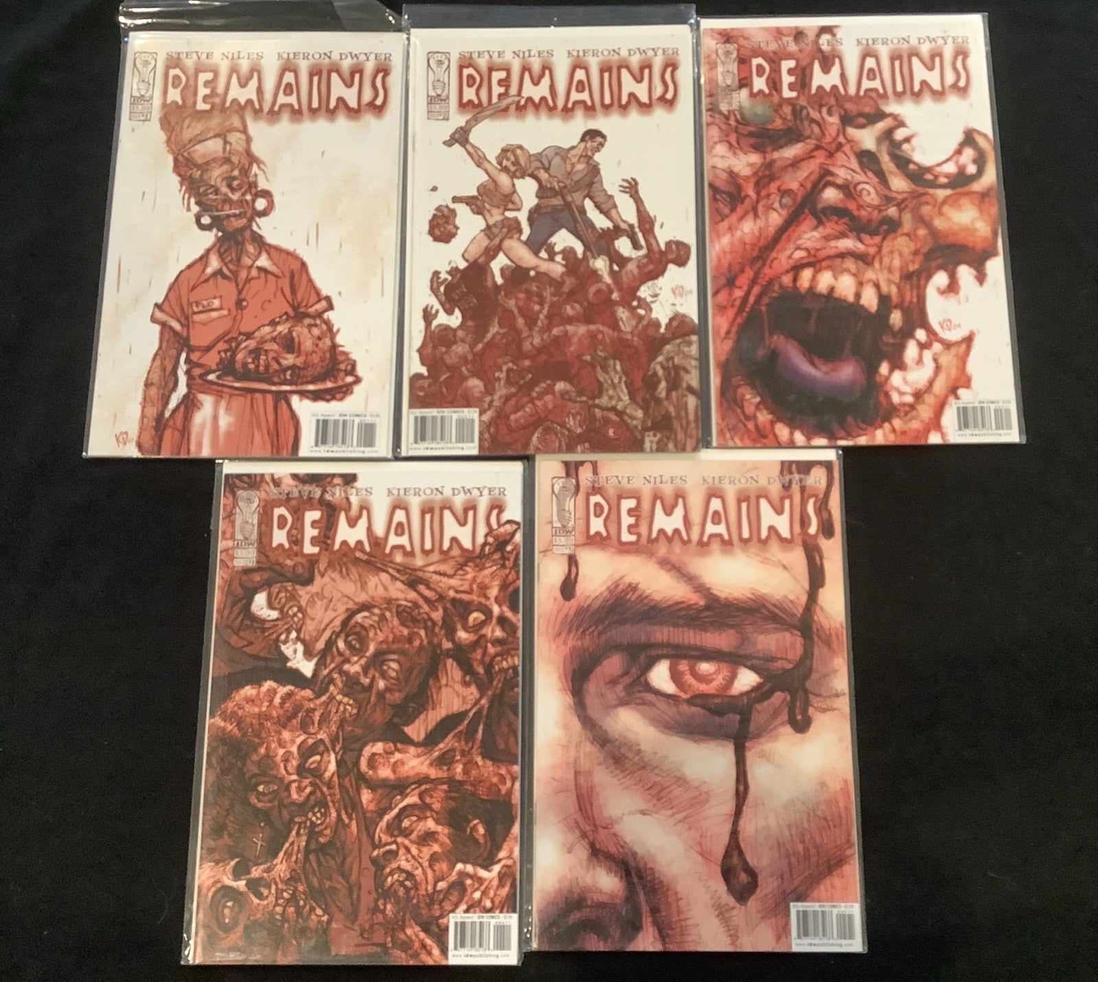 Remains #1-5 Complete Comic Set, IDW Publishing, Steve Niles, 2004