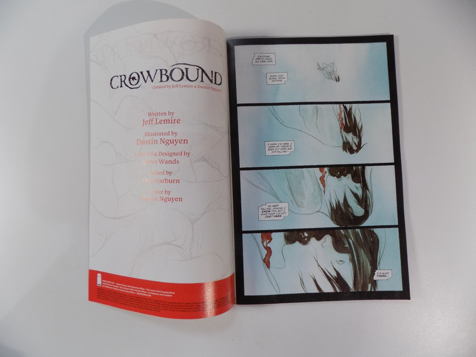 Crowbound Ashcan Image Comic 2026