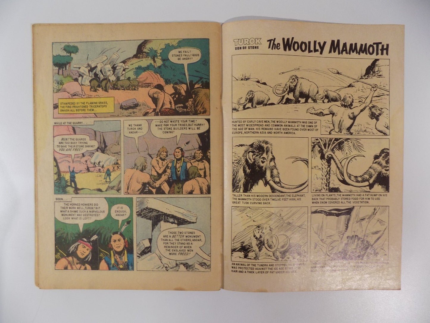 Turok Son of Stone #22 Dell Comic Dec.-Feb. 1961 Fine-