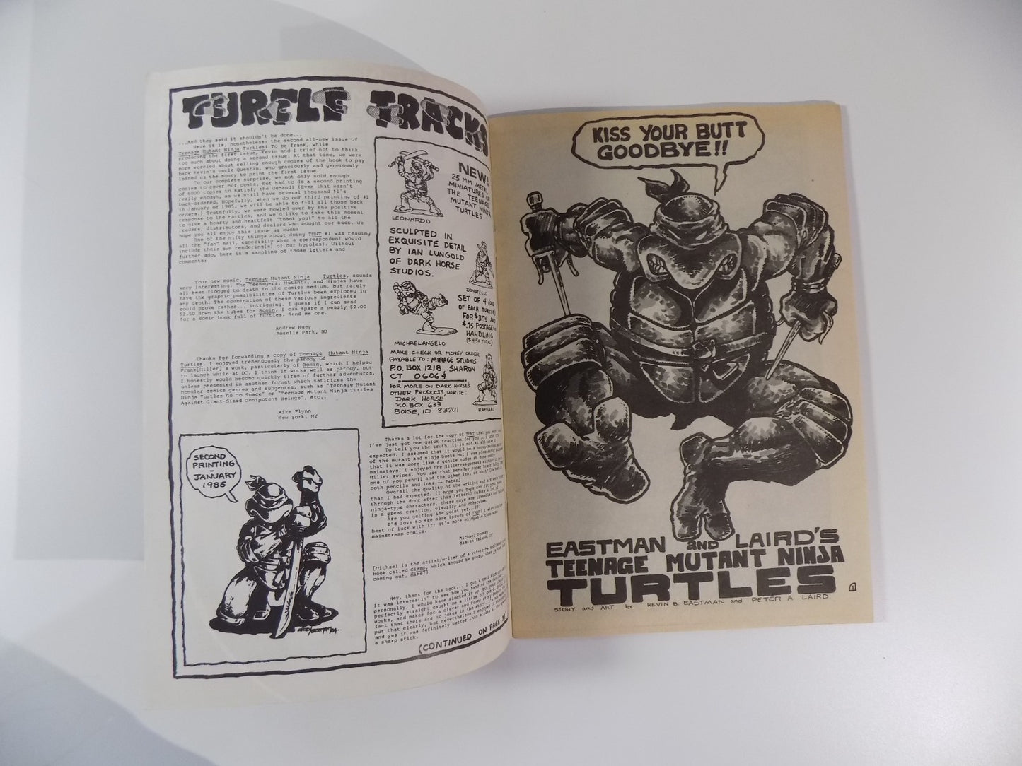 Teenage Mutant Ninja Turtles #2 Eastman & Laird 1st Print Near Mint