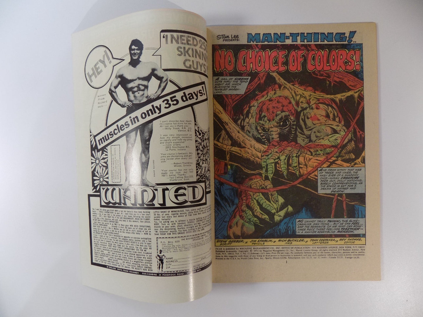 Adventure Into Fear #12 Man-Thing Marvel Comic February 1973 Very Fine