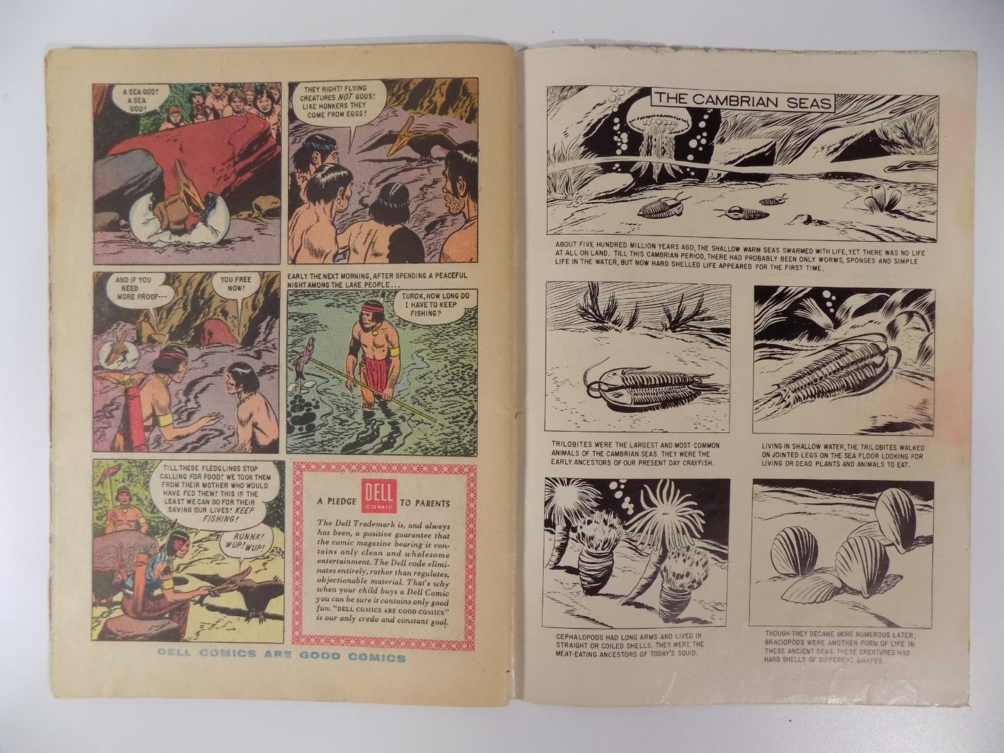 Turok Son of Stone #14 Dell Comic Dec.-Feb. 1959 Very Good