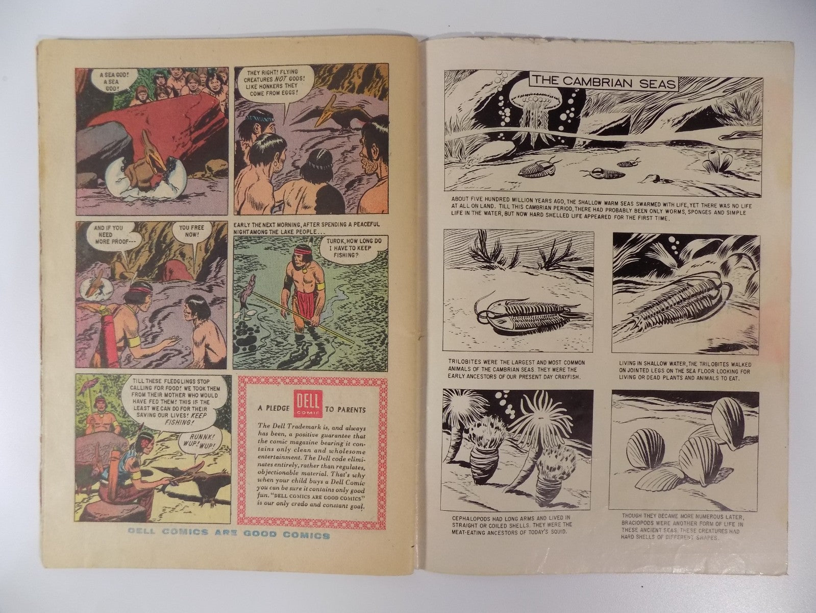 Turok Son of Stone #14 Dell Comic Dec.-Feb. 1959 Very Good
