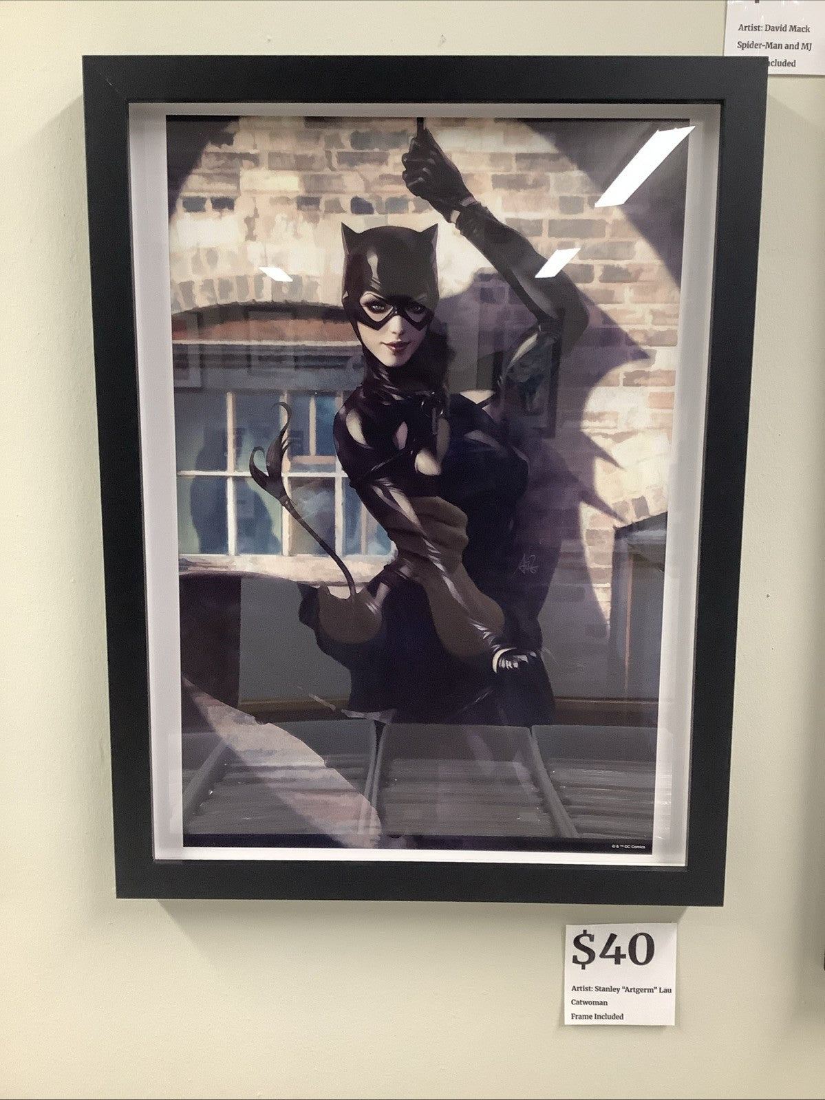 Catwoman 12x16 Art Print by Stanley Artgerm Lau DC Comics W/ Frame