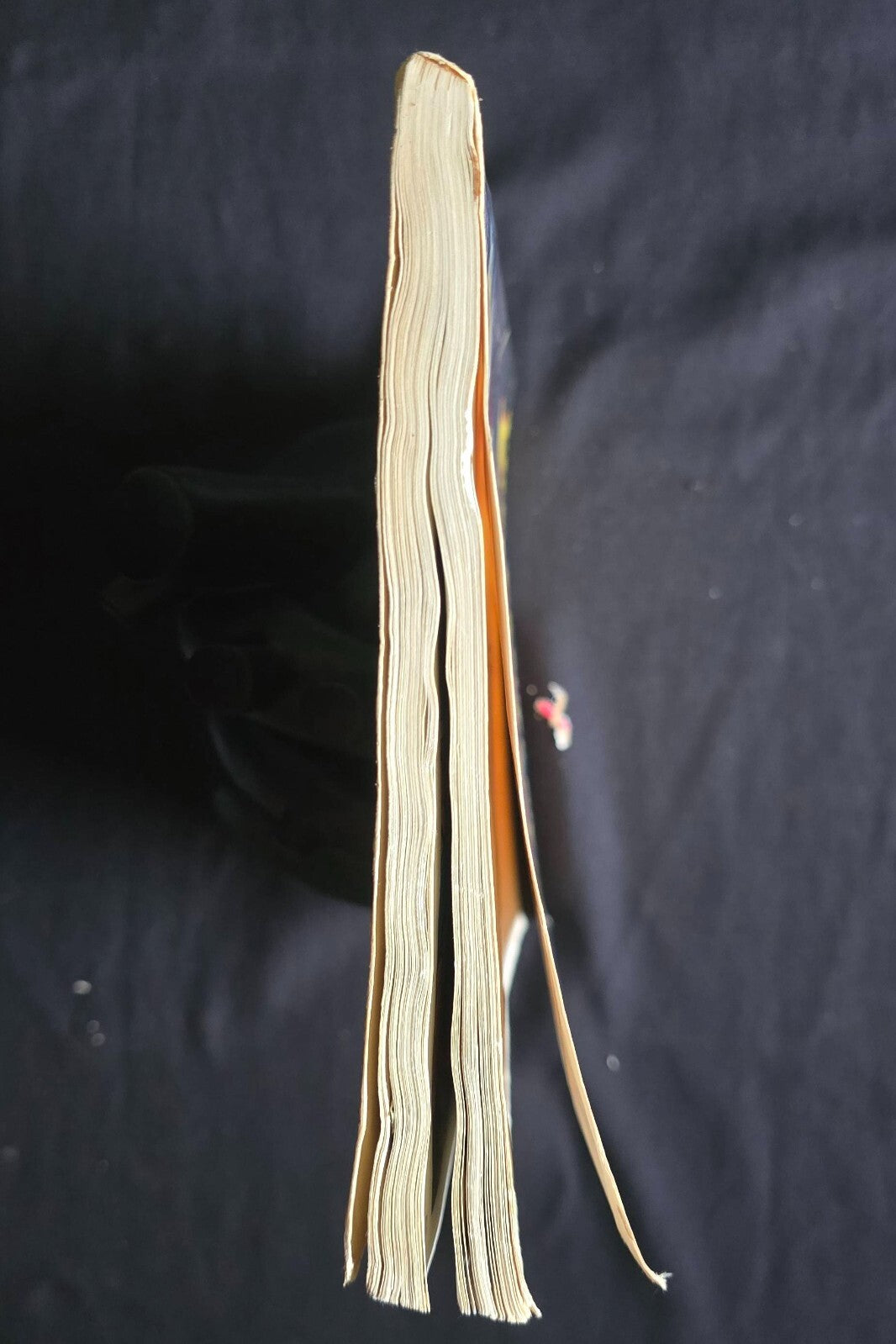 THE FANTASTIC FOUR by Stan Lee (1st Print, 1979) Fireside!